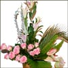 Charming Beauty - Click here to View more details about this Product